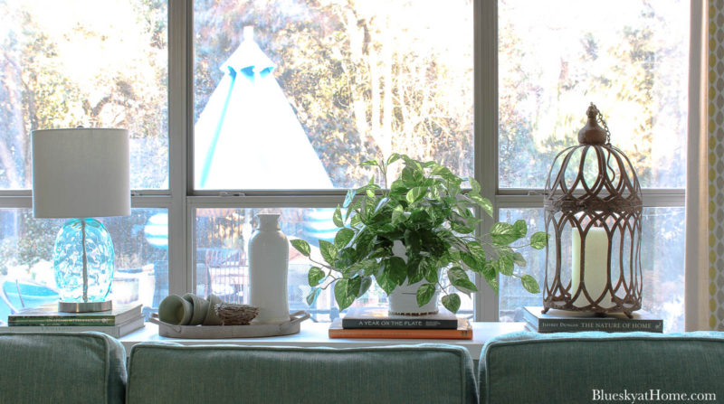 green pothos ivy in white container