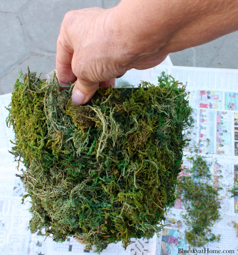 green plastic container covered in moss