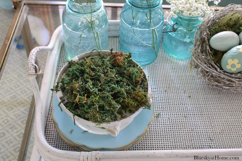 birdcage base with moss on white tray