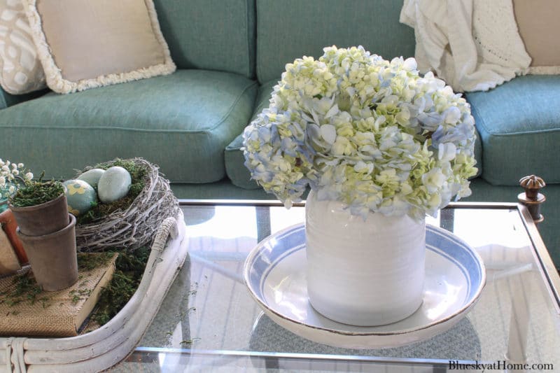 hydrangeas in white container