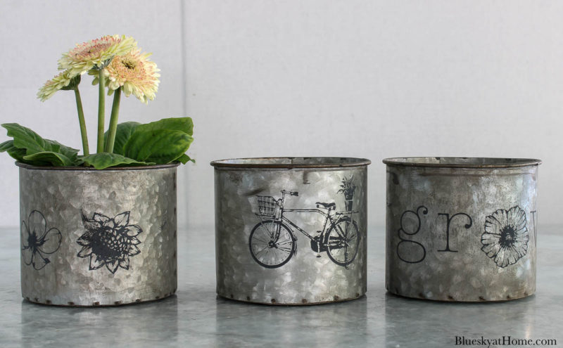 e spring galvanized containers