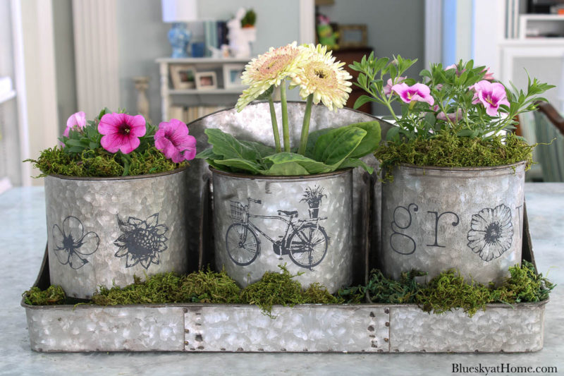 stenciled galvanized containers spring flowers