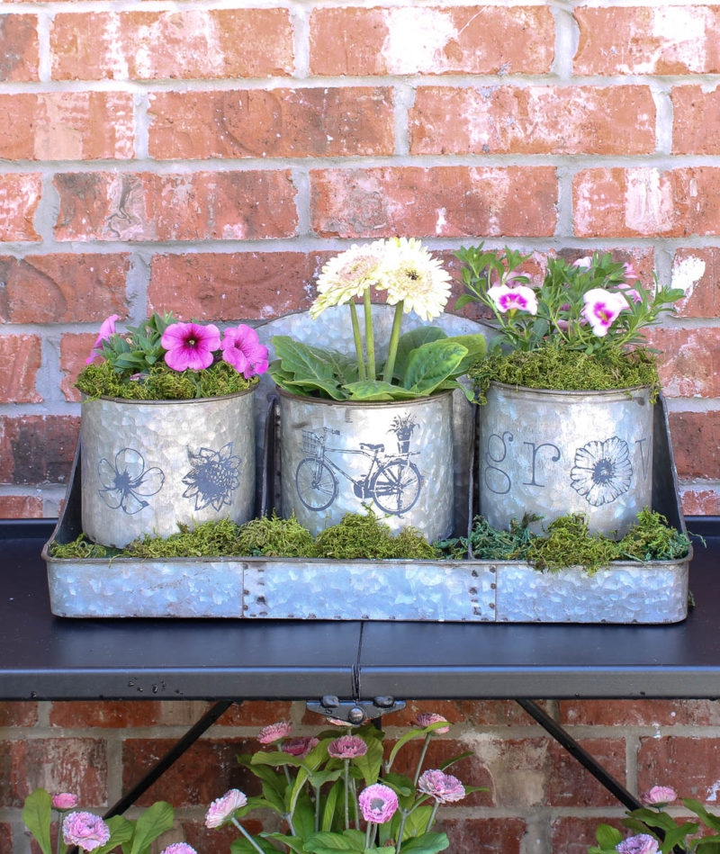 stenciled galvanized containers spring flowers