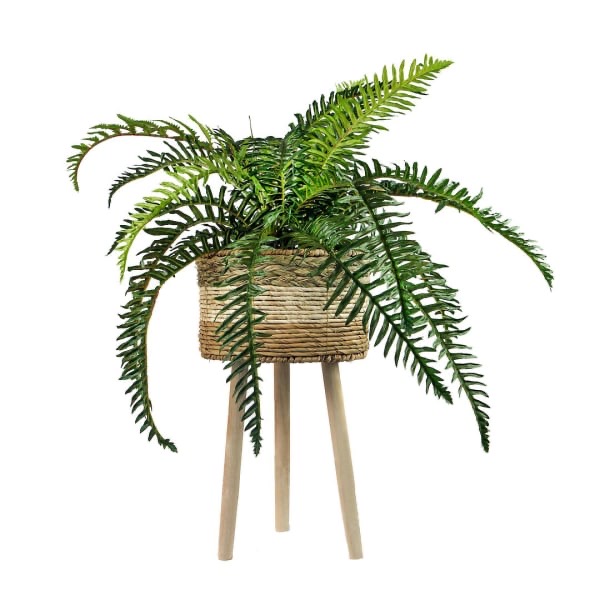 Pier 1 plant stand