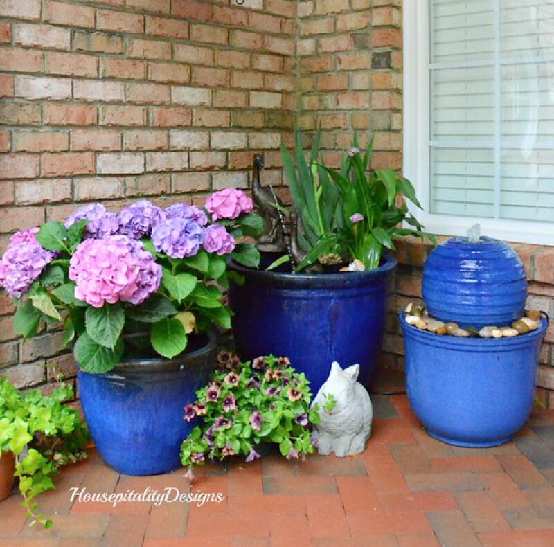 blue and purple hygrangeas in blue pots on the front porch