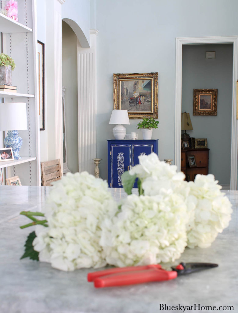 white hydrangeas on counter