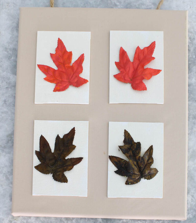 4 fall leaf canvases on large canvas