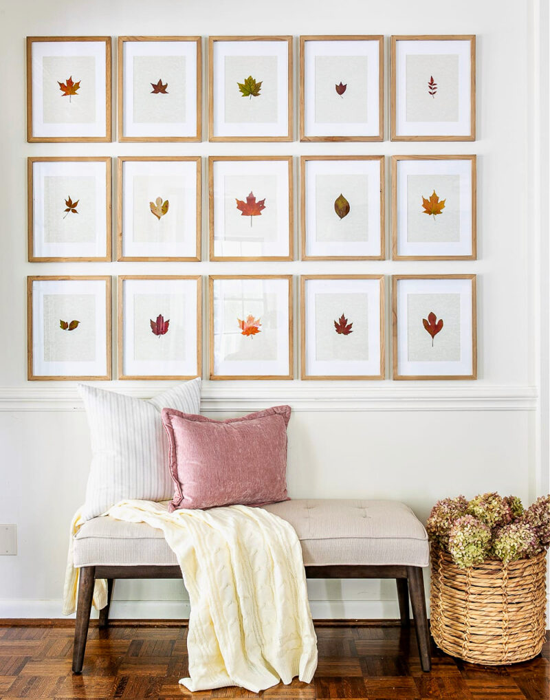 https://blueskyathome.com/wp-content/uploads/2021/08/Blesser-House-pressed-leaf-gallery-wall-and-fall-entryway-2-of-8-800x1018.jpeg