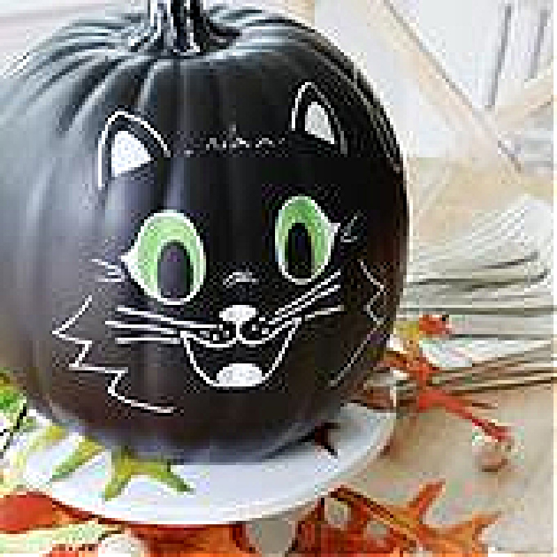 Halloween cat pumpkin