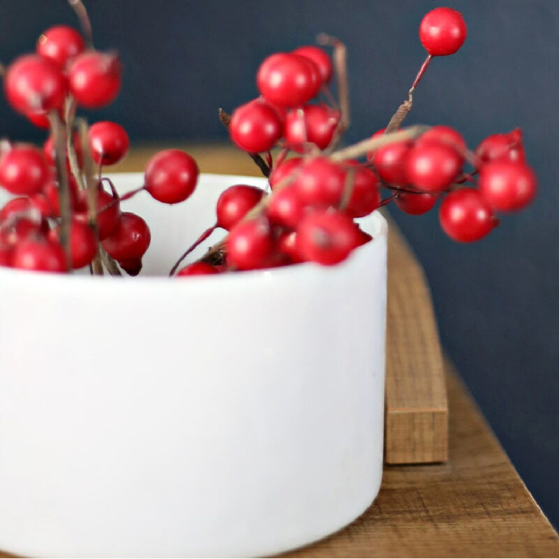 red berries in a white planter