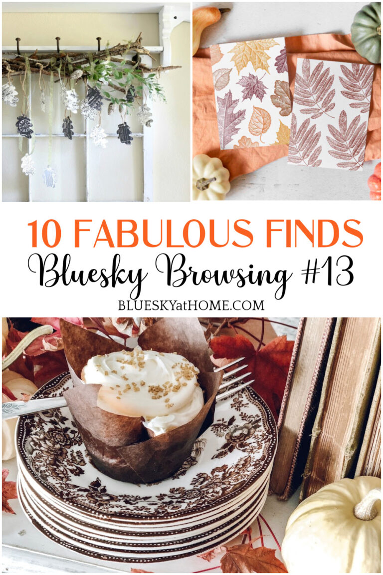 10 Fabulous Finds at Bluesky Browsing #13