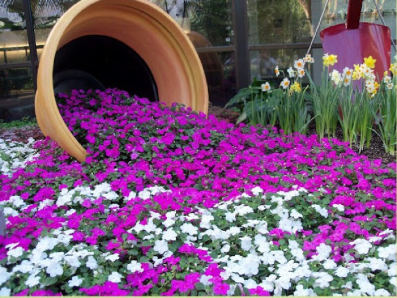 Ideas to create a beautiful flower garden