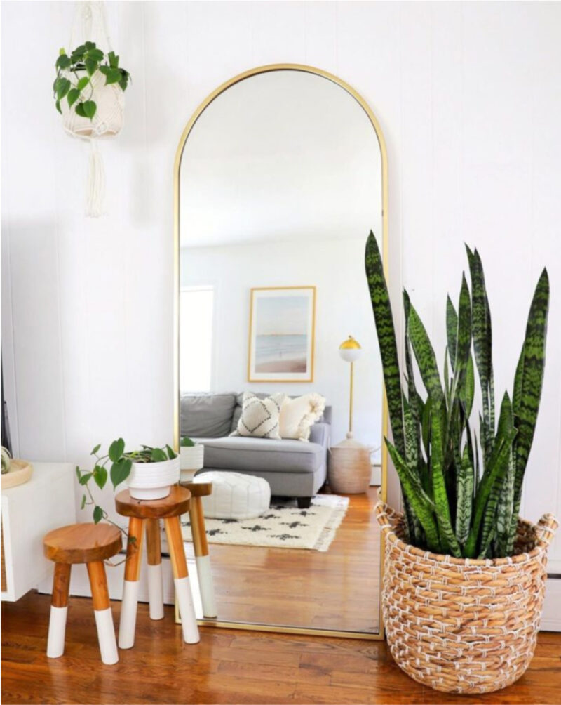 using green plants in home decor