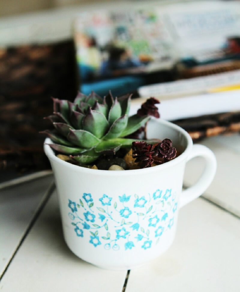 homemade Mother's Day gift teacup planter