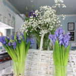 white-washed flower basket with blue hyacinths