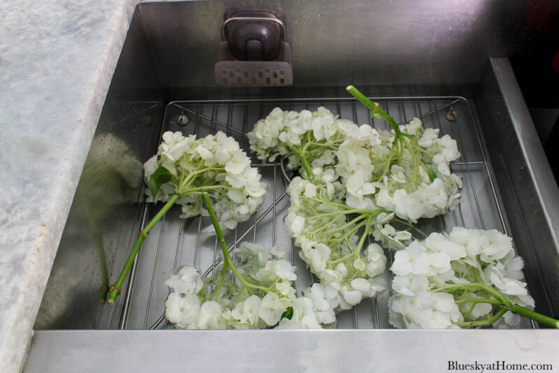 white hydrangeas in sink