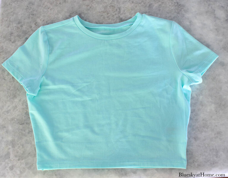 How to Decorate a TShirt with Paint and Stencils Bluesky at Home