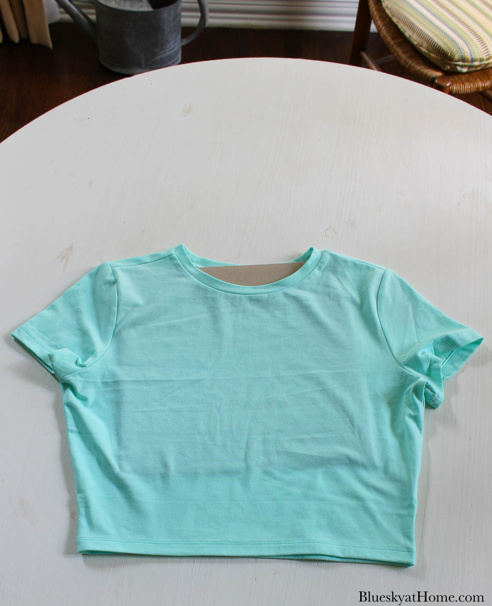 How to Decorate a TShirt with Paint and Stencils Bluesky at Home