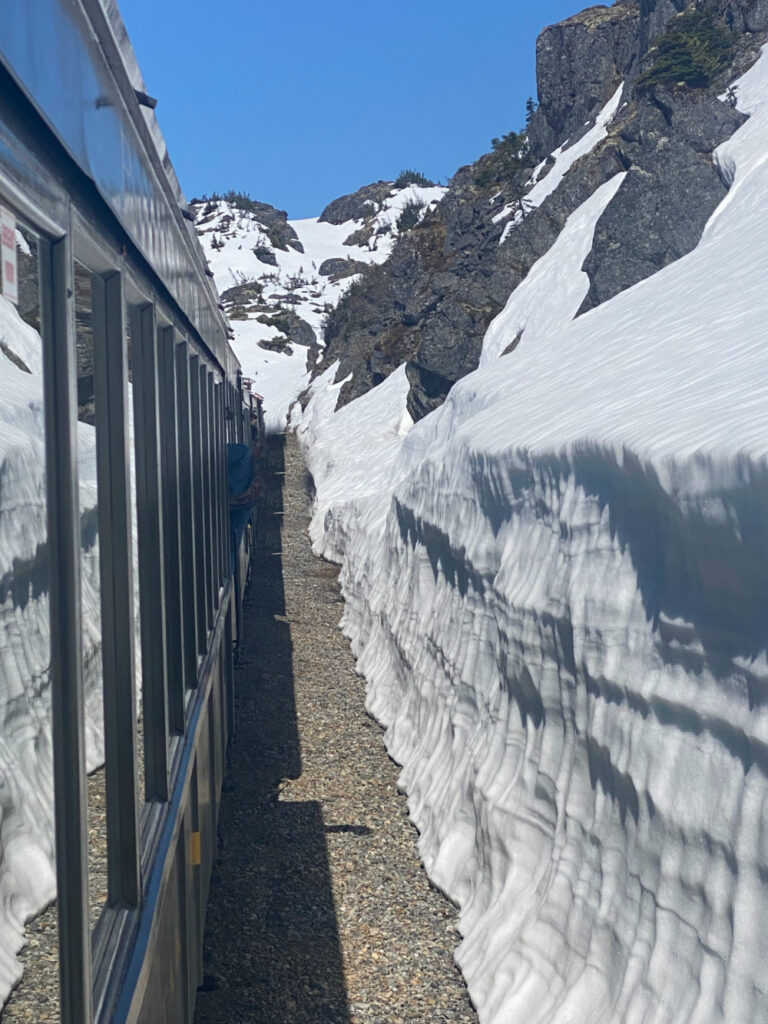 Alaska train and snow