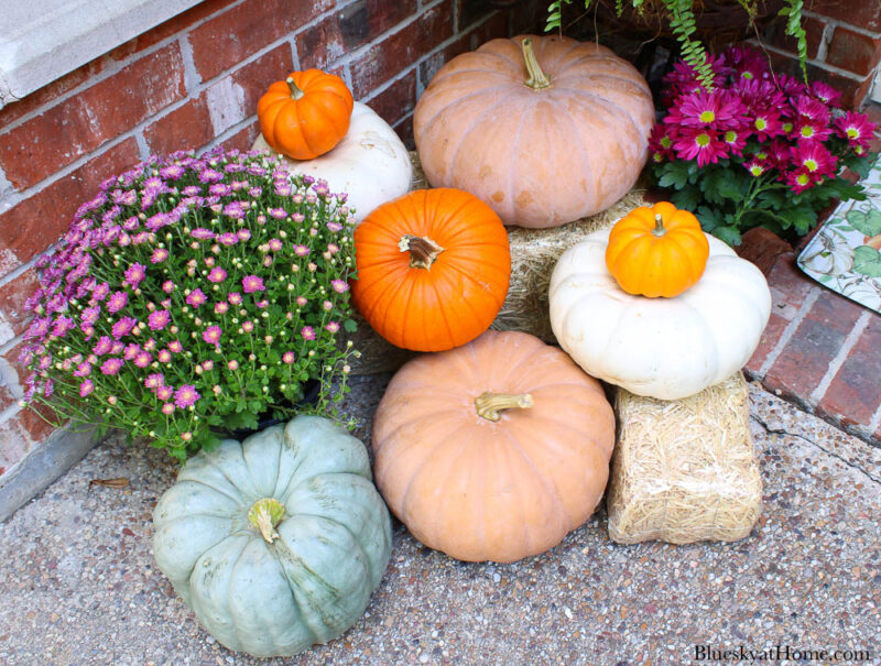 pumpkins, mums, and hay bales