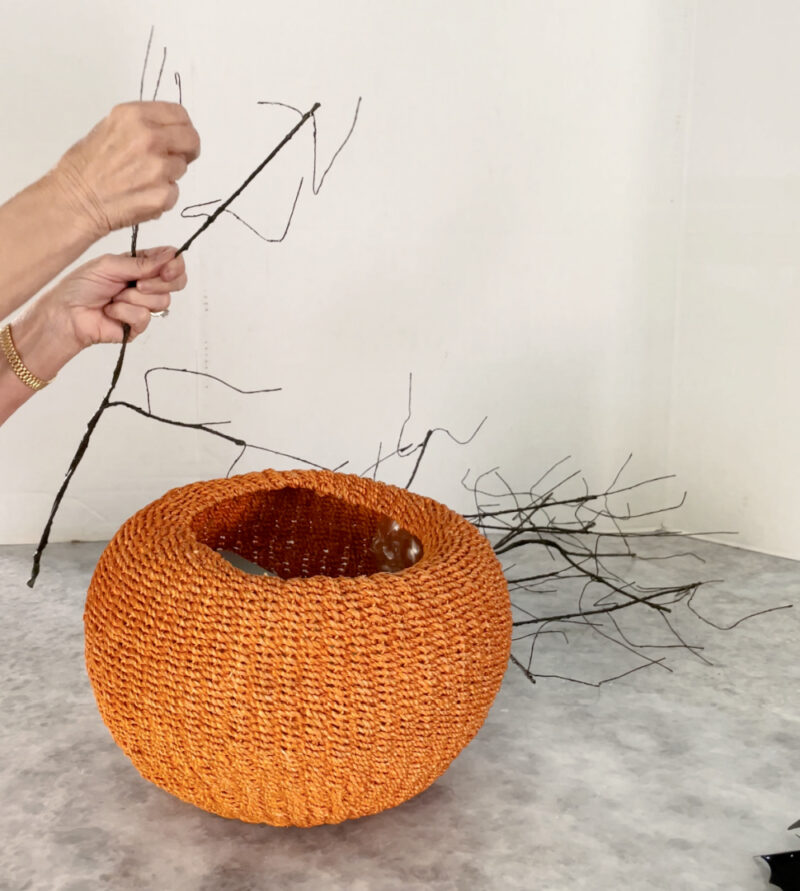 bending stems of Halloween tree