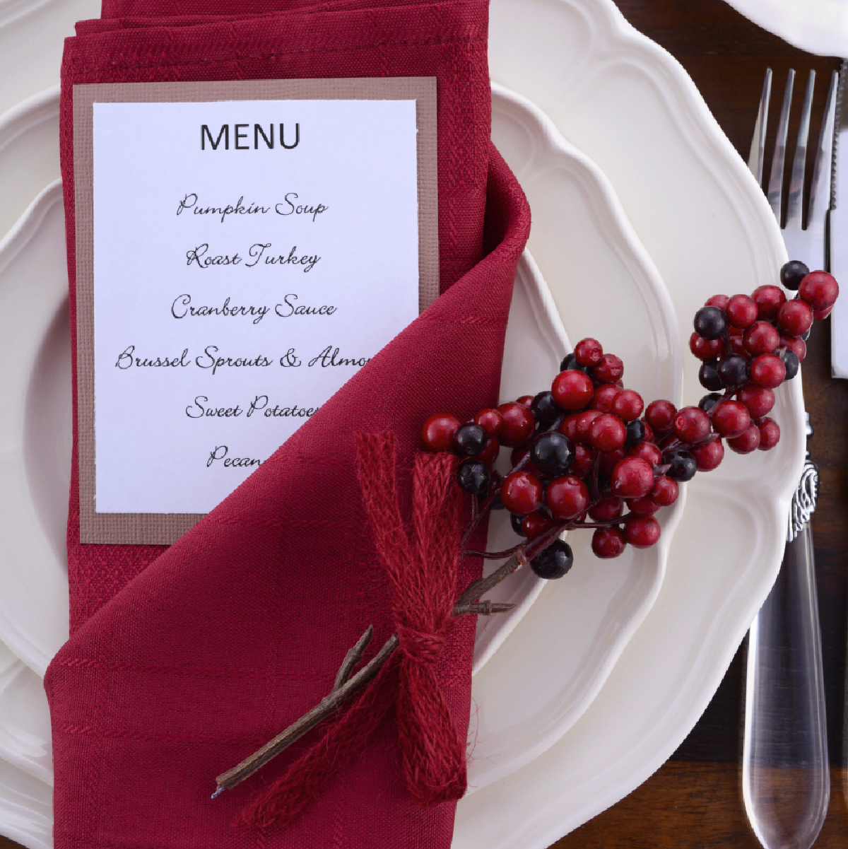 21 Steps to Get Ready to Host Thanksgiving Dinner - Bluesky at Home