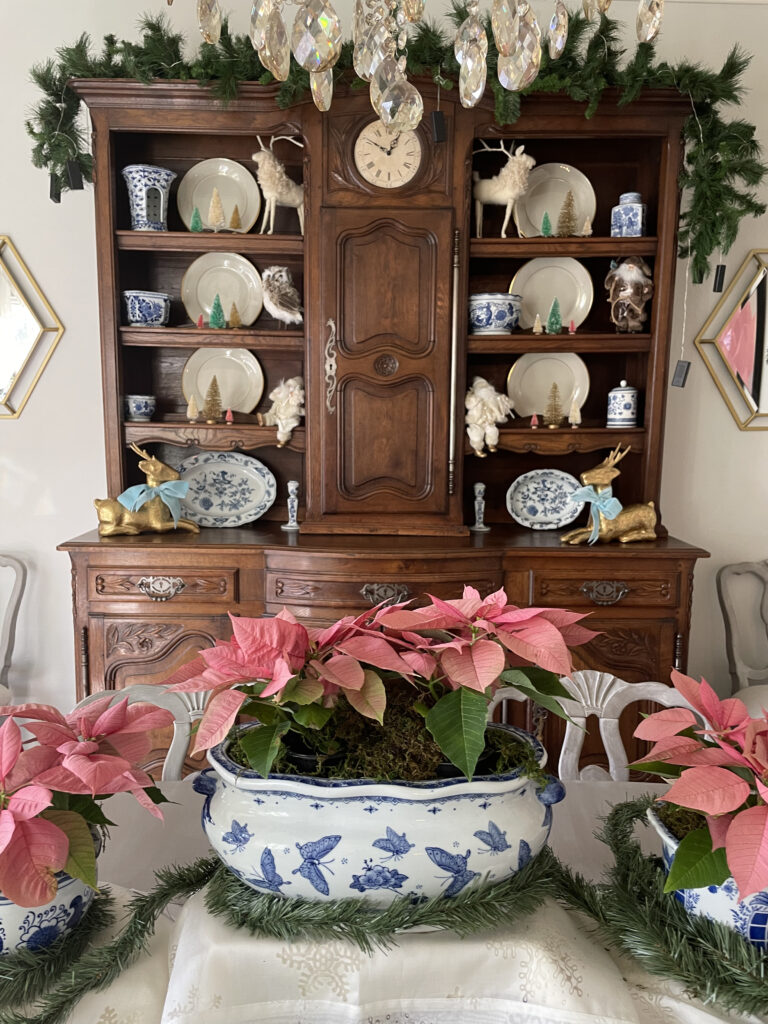 pink poinsettias in blue planters