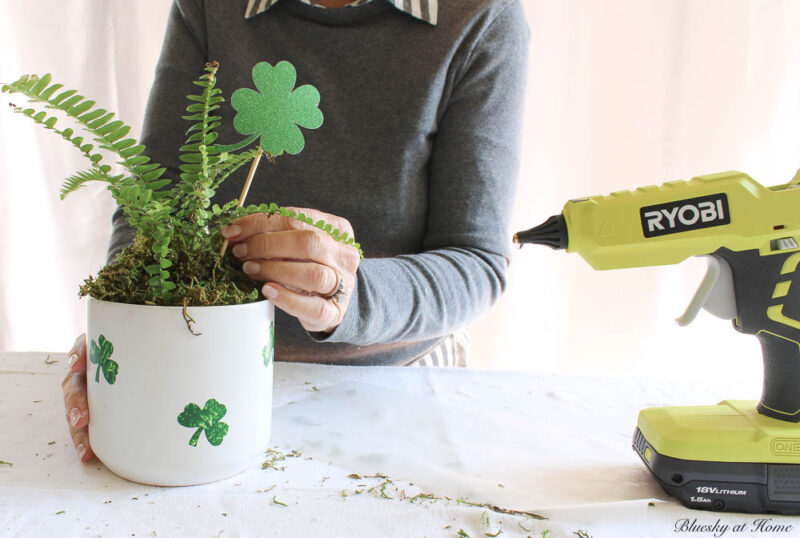 placing green paper shamrocks in plant