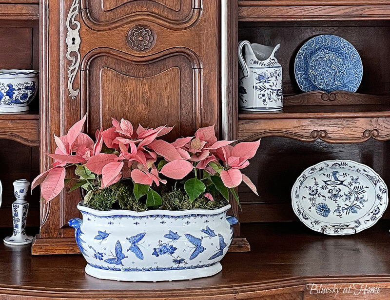 blue and white dish with pink poinsettias