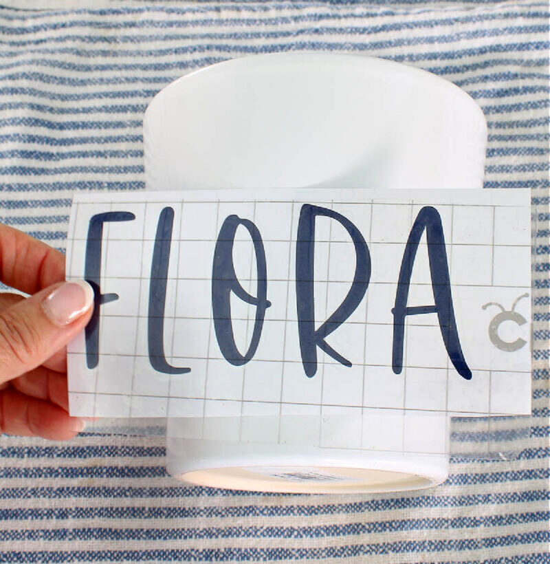 word "flora" transfer