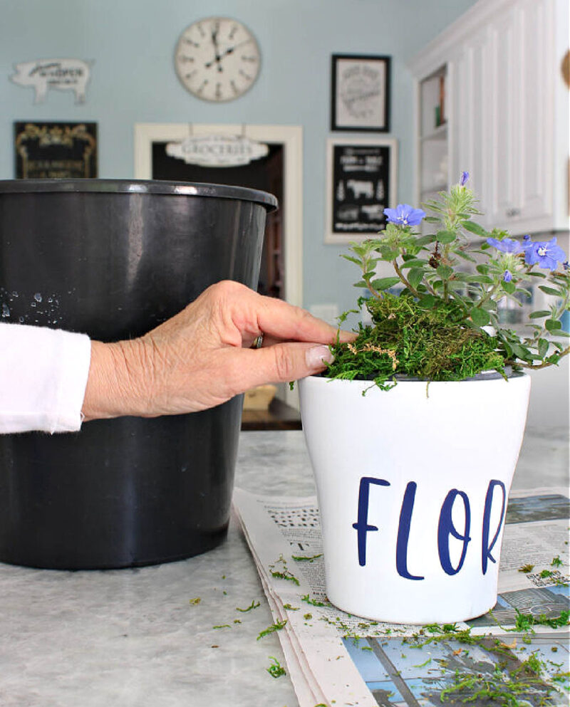 white planter with navy vinyl stickers and blue flowers