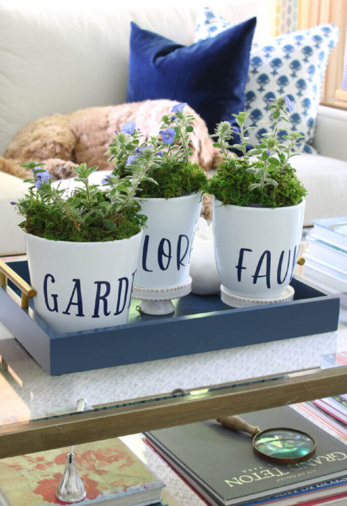 three white planters with navy vinyl stickers and blue flowers on coffee table