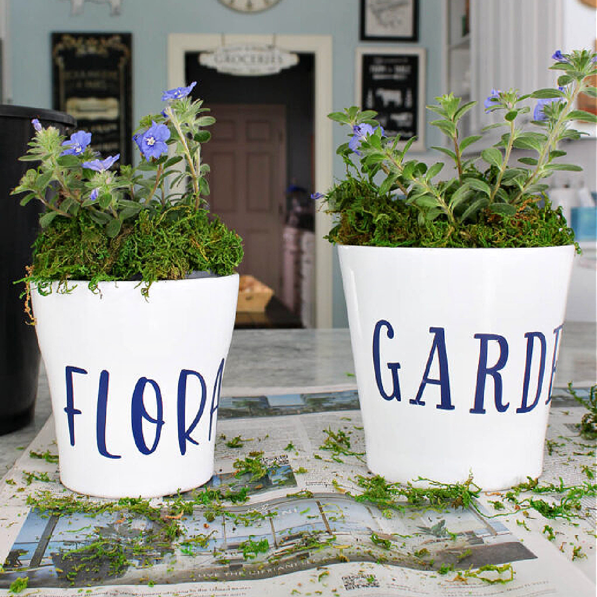 white planters with navy vinyl stickers