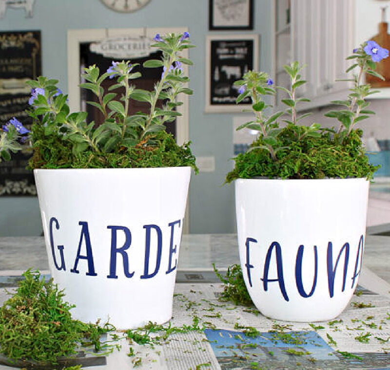 white planters with navy vinyl stickers