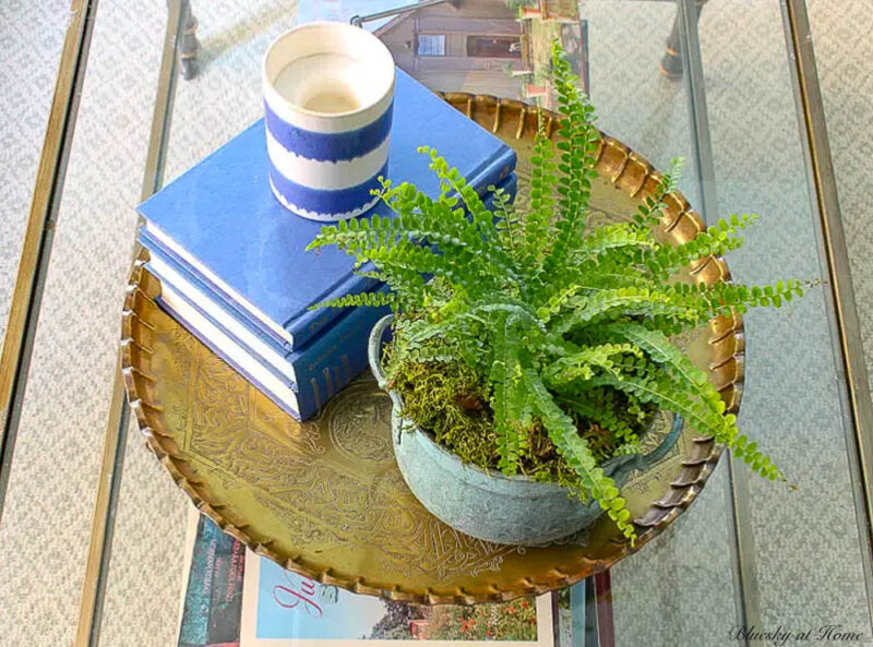 candle and plant on coffee table