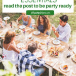 essential outdoor summer party guide graphic
