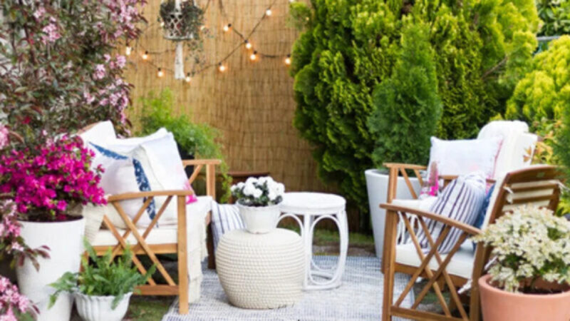 botanical outdoor space