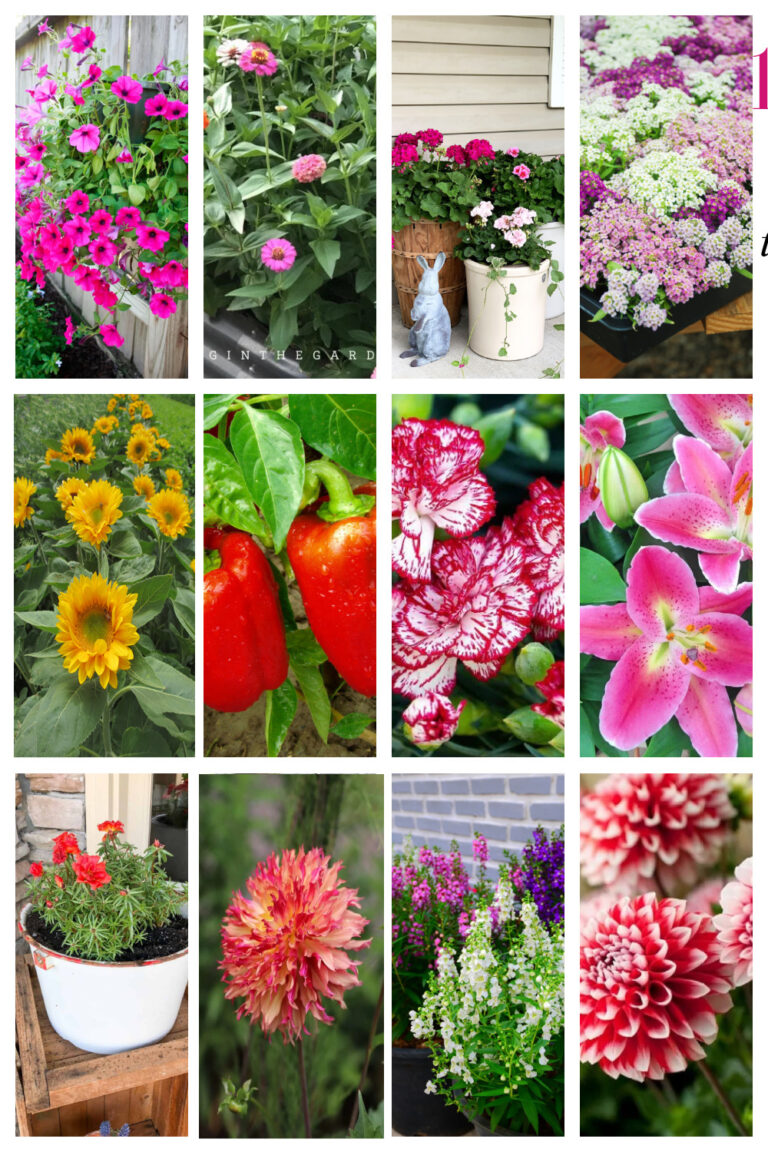 13 Fabulous Summer Gardening Ideas: Tips for a Lush and Colorful Garden ...