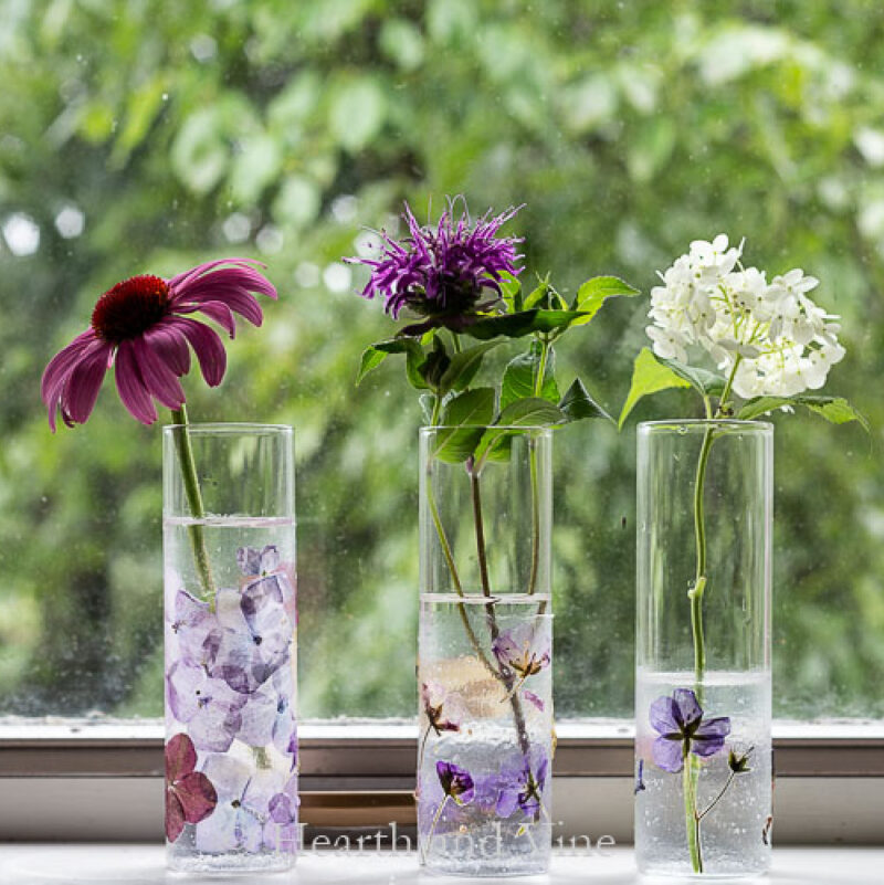 pressed flower vases