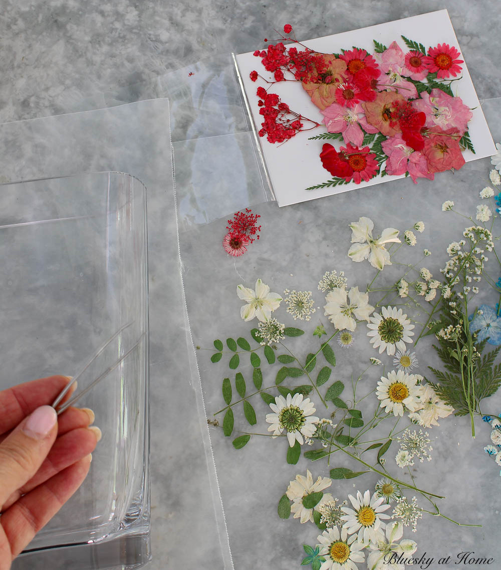 Easy Pressed Flower Vase Project for Your Home Decor Bluesky at Home