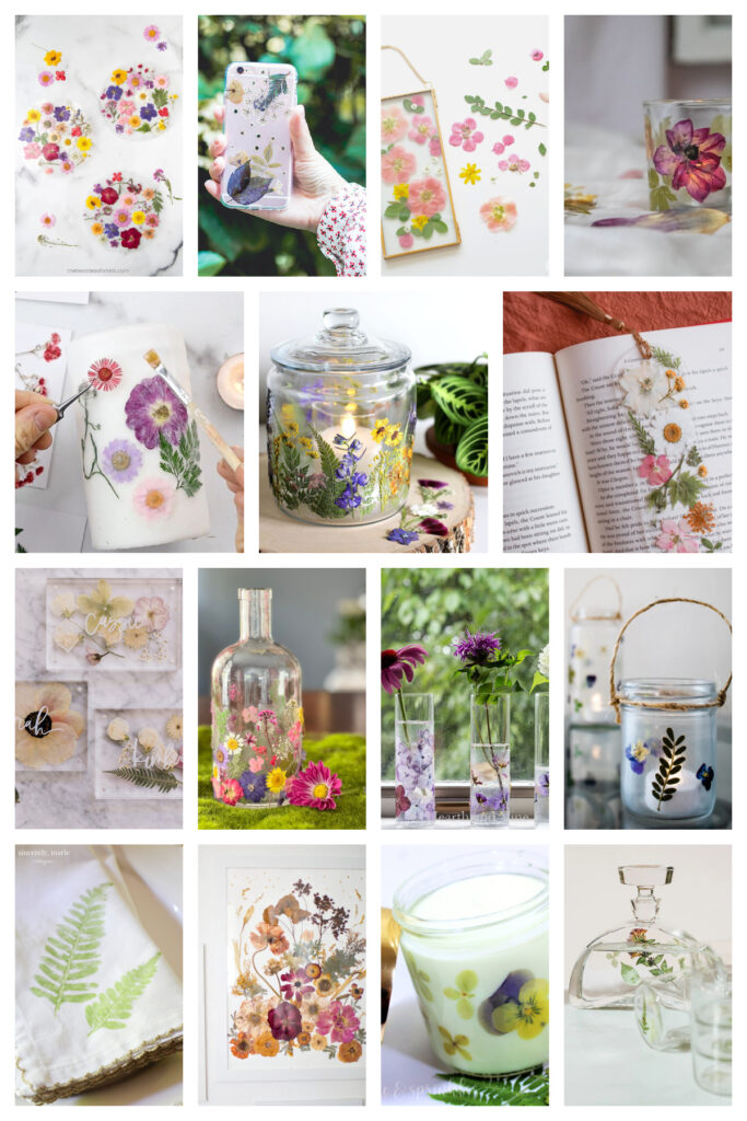 15 Fabulous DIY Pressed Flower Projects - Bluesky at Home