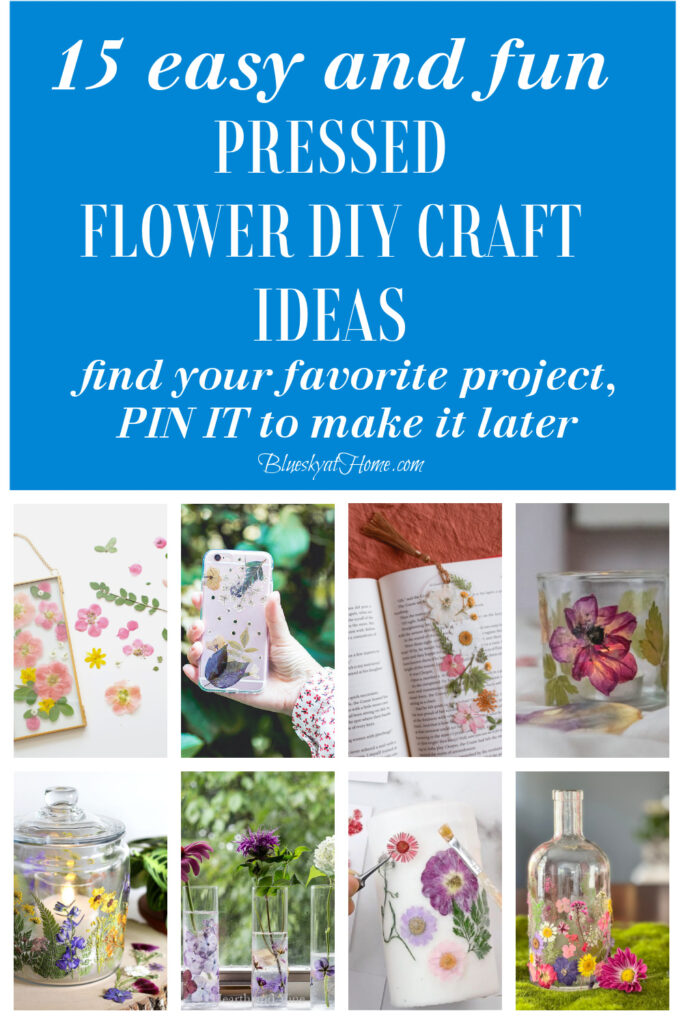 Pressed Flower Projects! 