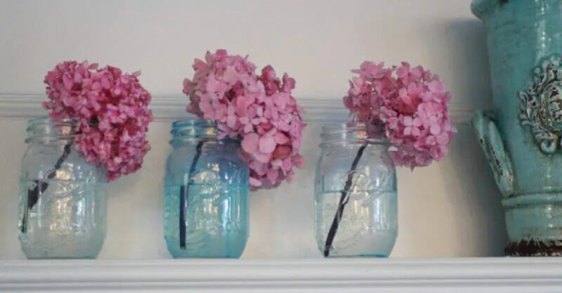 three tinted mason jars in blue with pink hydrangeas