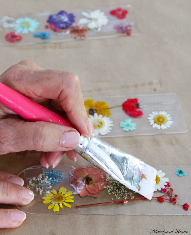 applying Mod Podge to pressed flowers
