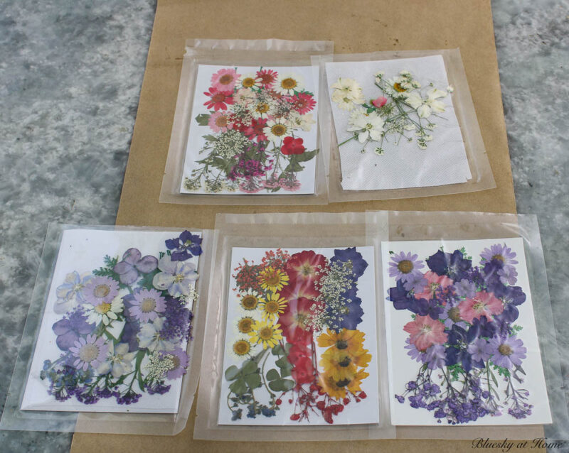 packages of dried pressed flowers