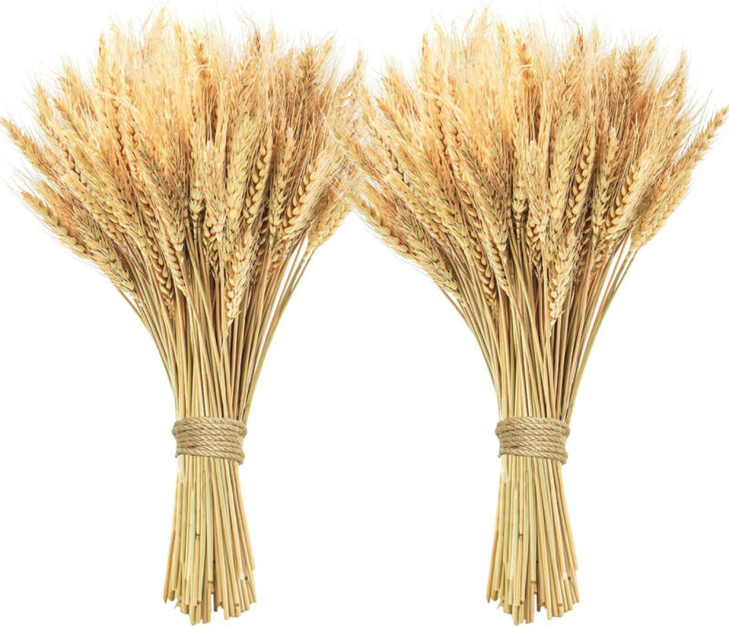 wheat sheaves