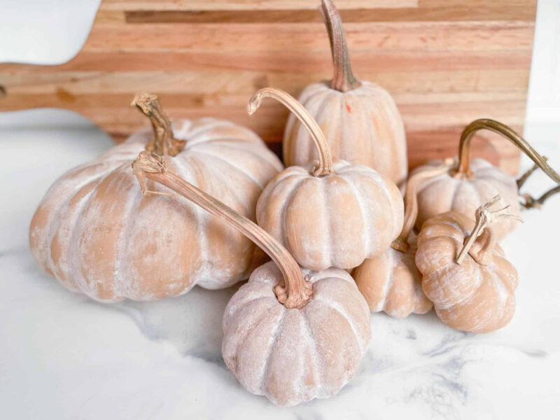 fall DIY terra cotta painted pumkins