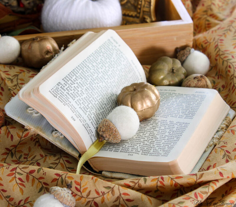 fall vignette with open book and mini-pumpkins