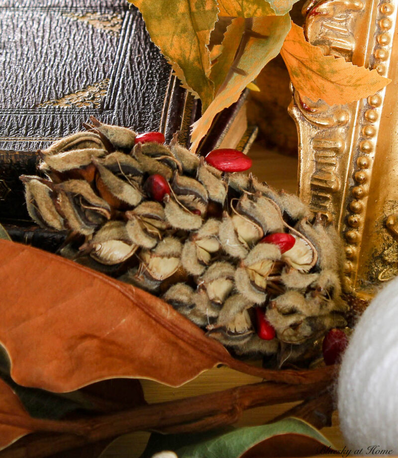 magnolia pinecone in fall vignette