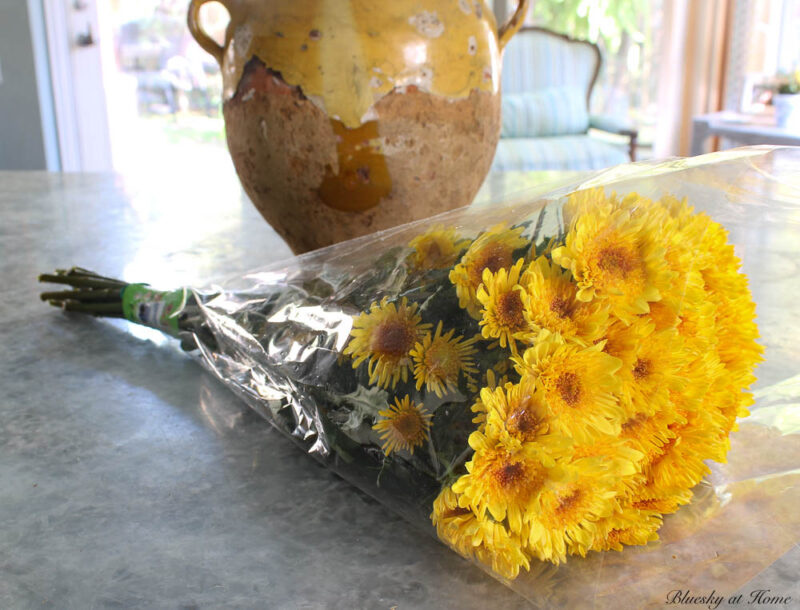 bunch of yellow chrysanthemums with confit pot in background